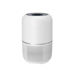 Air Purifiers